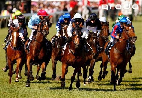 empire rose stakes odds|Empire Rose Stakes 2020 .